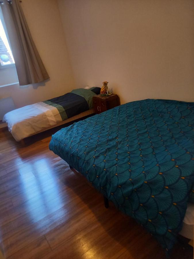 Logement Entier Spacieux Et Confortable A 1 H De Paris Courtenay  Ngoại thất bức ảnh